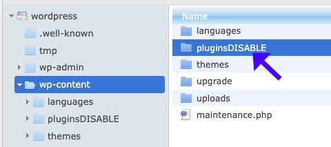 Disable Plugins Folder