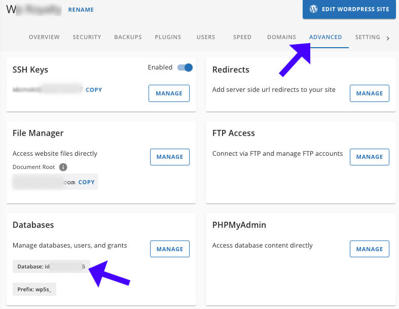 Get Database Name Username