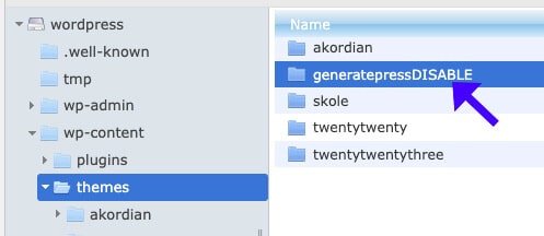 Rename Active Theme Name