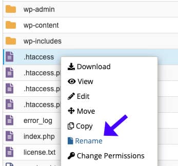 Right click rename htaccess file
