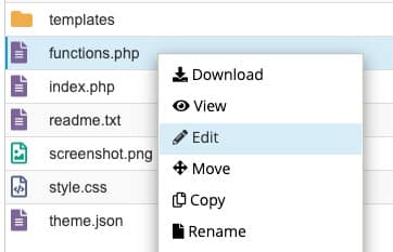 Edit the Theme Functions PHP File