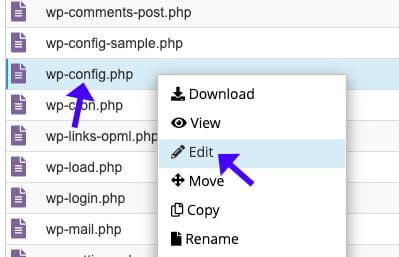 Edit wp config php file