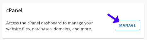 Open Website cPanel