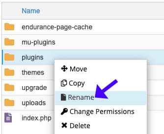 Rename the plugins folder