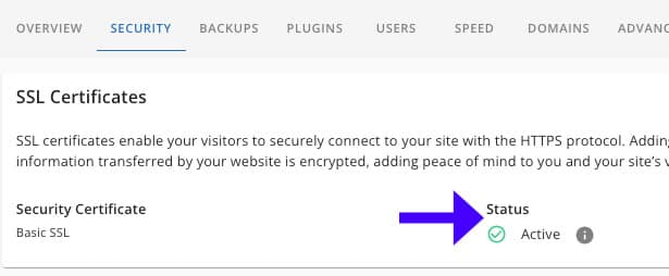 SSL Certificate Status is Active