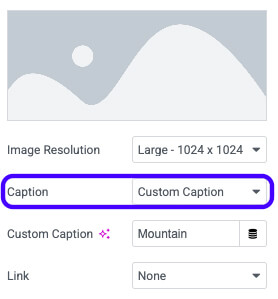 Add caption to image widget