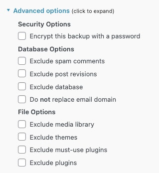 All In One WP Migration Advanced Options