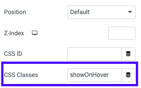 Show On Hover CSS Class