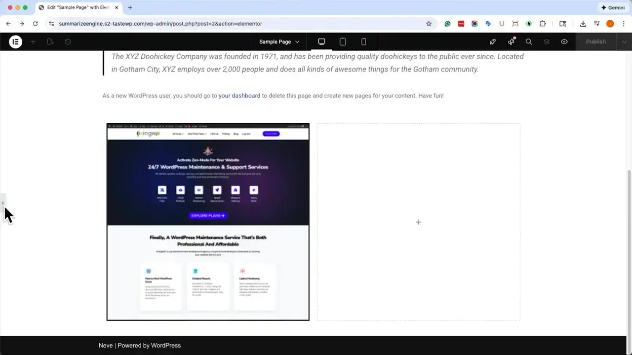 crisp-elementor-editor-view-with-a-homepage-screenshot-inside-a-left-column-framed-by-a-solid-black-border-5