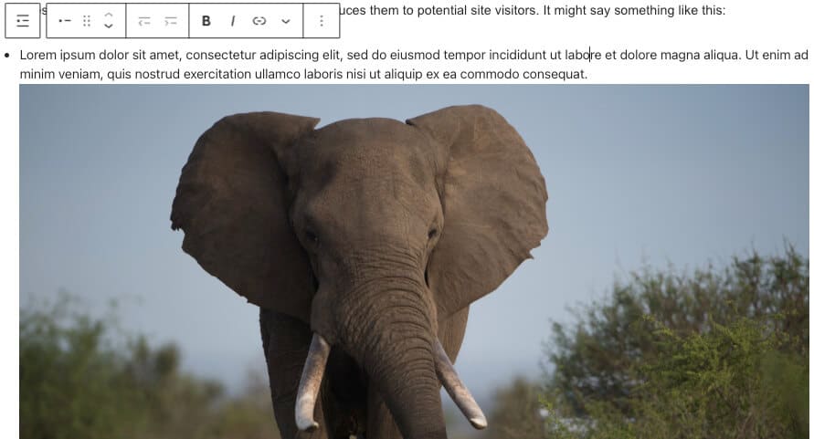 Full width image too big