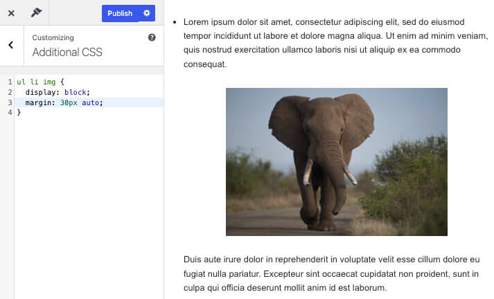 List item image own line CSS