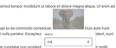 Small image inline list