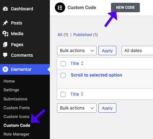 Add Custom Code in Elementor